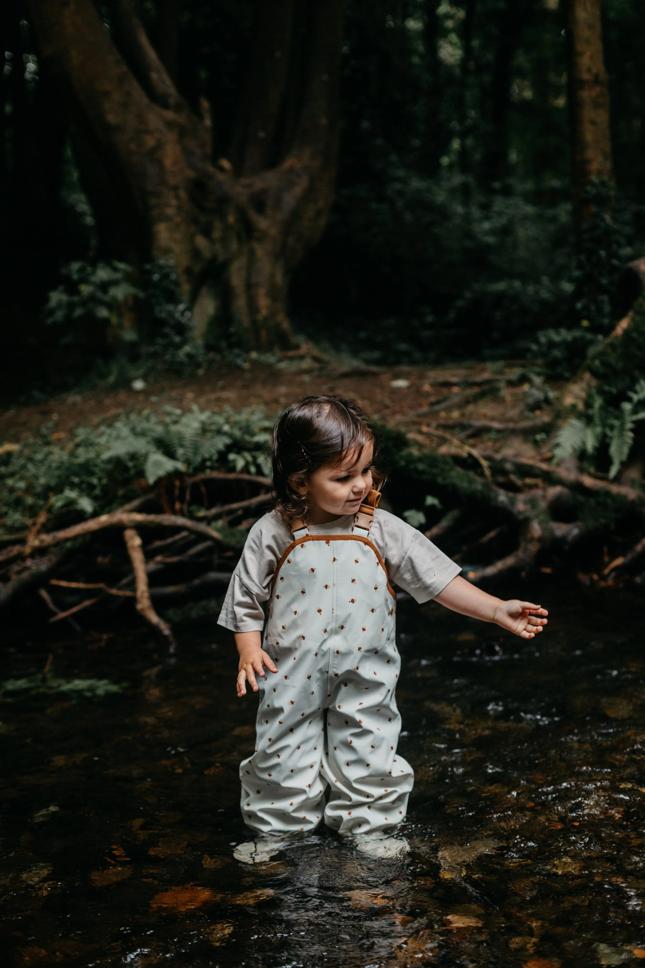 Acorn Print Overalls