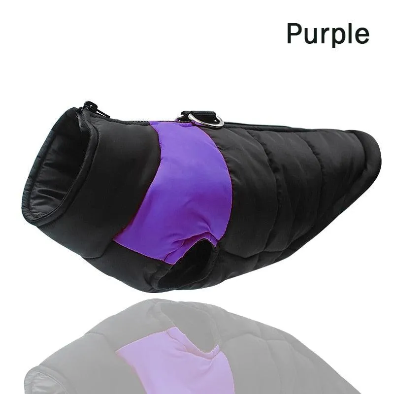 Padded Waterproof Pet Zipper Jacket For Dogs