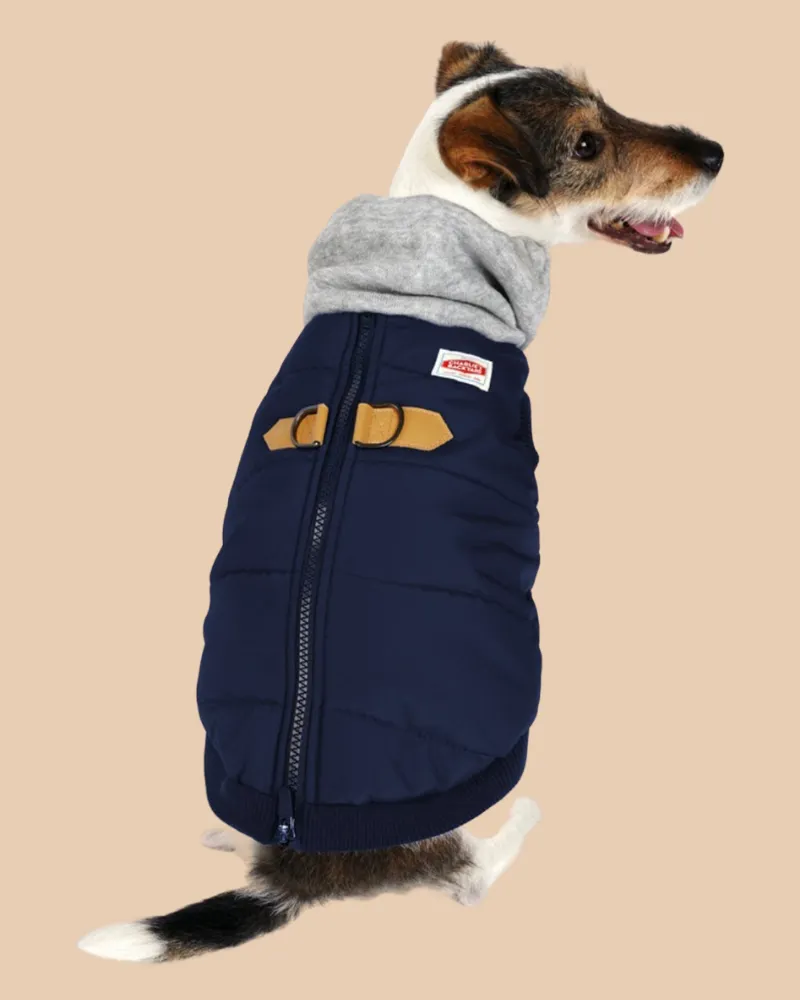 Warm Up Harness Jacket in Navy<br>((FINAL SALE))