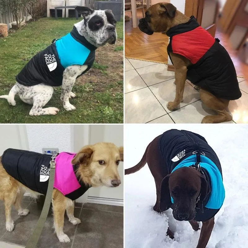 Waterproof Dog Jacket: Stylish Winter Outerwear for Cold Weather Adventure